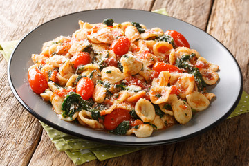 Portion of orecchiette pasta with spinach in tomato sauce sprinkled with parmesan closeup in a plate. horizontal