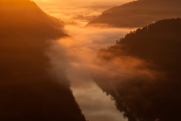 Foggy Sunrise Forest