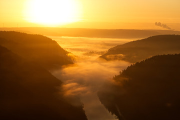 Foggy Sunrise Forest
