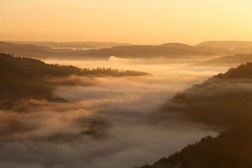 Obraz na płótnie Canvas Foggy Sunrise Forest