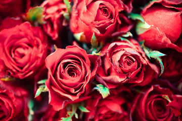 Close up rose background flowers romantic love valentine day concept , Multicolored flowers Bloom Natural fresh red roses flower bouquet