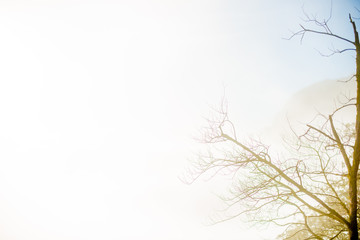 BARCELONA, SPAIN - December 26, 2018: The Nature of Montserrat in Barcelona, Spain. Montserrat  is a Spanish shaped mountain which influenced Antoni Gaudi to make his art works.