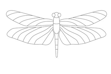 Dragonfly coloring page simple black contour illustration