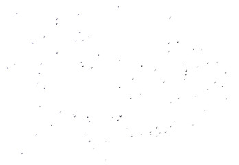 Flock of birds isolated on white background