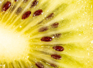 Seeds on a sliced green kiwi as a background