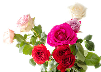 Beautiful rose bouquet isolated on a white