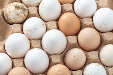 Fresh chicken eggs in industrial mud as a background