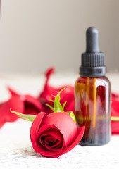 Essential rose oil in glass bottle and fresh rose flower on light background with copy space. Concept alternative health care   for wellness and Aromatherapy.