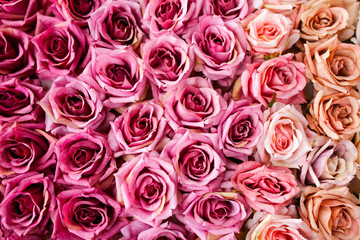 Red artificial flowers as a background