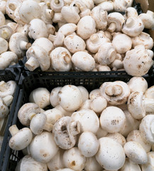 Champignon mushrooms in the store as a background