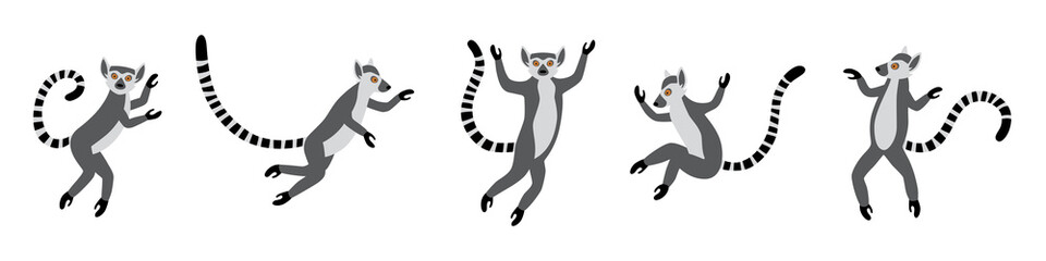 Cute funny ring-tailed lemurs jumps. Exotic Lemur catta. Set of vector illustrations in cartoon and flat style isolated on white background - obrazy, fototapety, plakaty