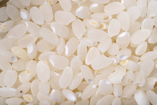 Close up macro rice