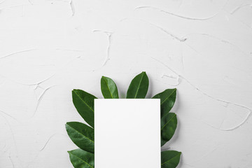 Blank paper letter with plant branch, copy space