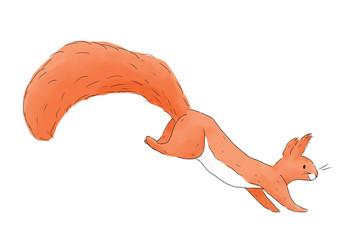 Funy bright red whimsical squirrel watercolor illustration © Marina Yatsenko
