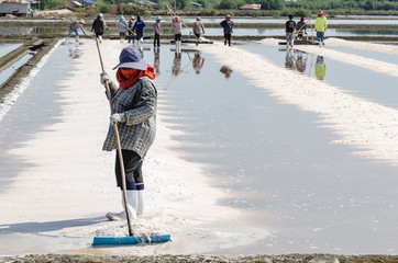 Farmers are using the tools to scoop the salt into a pile in salt garden at Phetchaburi, Thailand.