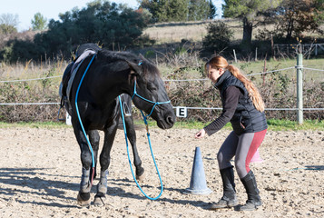 riding girl and horse