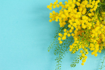 黄色が鮮やかなミモザの花束
