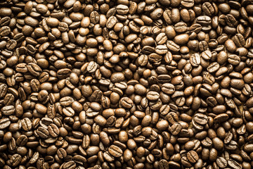 coffee bean