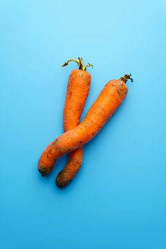 Naklejki Ugly carrot on a blue background.