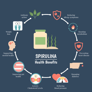 Spirulina bilder – Bläddra bland 33,358 stockfoton, vektorer och videor |  Adobe Stock