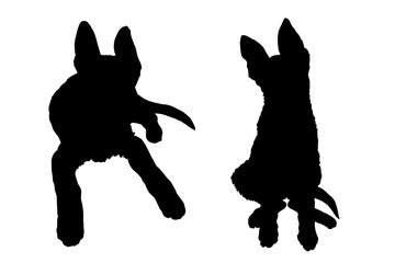 Shepherd dog, black silhouette