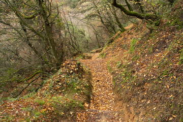 Meteora, Greece - Dec 19, 2019: Hiking path at Meteora,Greece