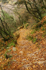 Meteora, Greece - Dec 19, 2019: Hiking path at Meteora,Greece
