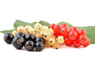 Currant, black, red and white berries of currants isolated on white background.