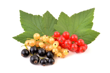 Currant, black, red and white berries of currants isolated on white background.