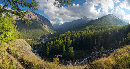 Fototapeta na wymiar Deep gorge, green forests and beautiful sky. Mountain taiga in summer, Altai