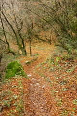 Meteora, Greece - Dec 19, 2019: Hiking path at Meteora,Greece