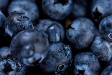 Fresh ripe blueberries with drops of water, closeup