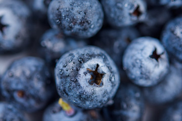 Fresh ripe blueberries with drops of water, closeup