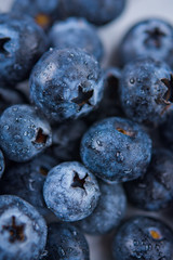 Fresh ripe blueberries with drops of water, closeup
