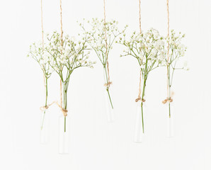 White flowers in glass mini vases hanging on white background. Copy space