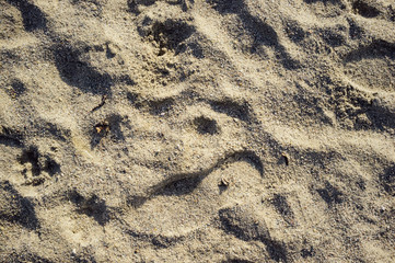 footprint in the sand