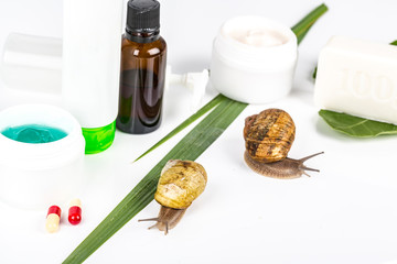 Cosmetics made with snail slime. Very healthy and organic products.
