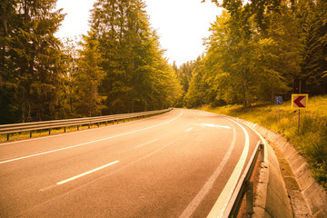 Fototapeta premium Asphalt road passing through the forest