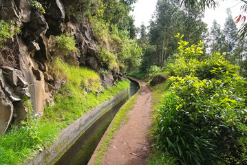 Madeira island beautiful nature landscape, footpath trail in mountains and forest