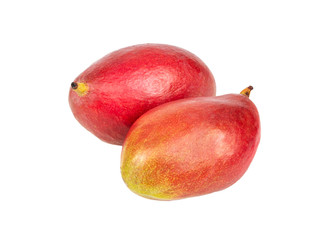 Two mango fruits