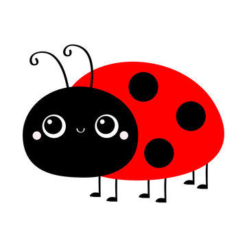 Ladybug Ladybird icon. Cute cartoon kawaii smiling baby animal character. Funny insect. Flat design. Isolated. White background.