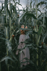 girl with blond hair among tall green ears of corn, covers her face with sheets, looks up - 316957012