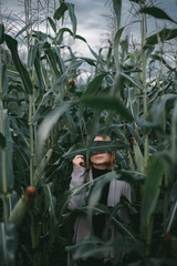 girl with blond hair among tall green ears of corn, covers her face with sheets, looks up - 316957061