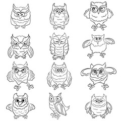 Set of twelve funny owls outlines