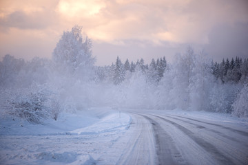 Fototapeta na wymiar Winter cold morning landscape of nature Krimulda,Latvia