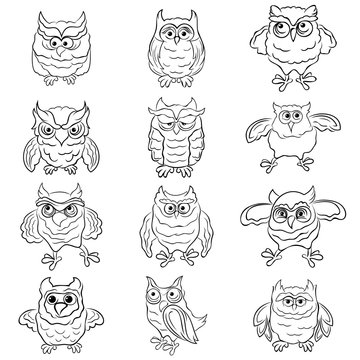 Set of twelve funny owls outlines