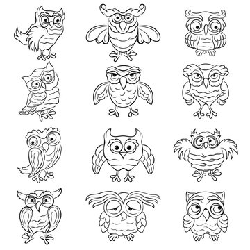 Set of twelve amusing owls outlines