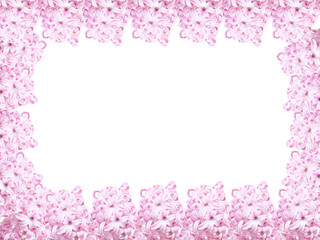 Fototapeta na wymiar the frame of flowers. pink hyacinth on a white background. copy space