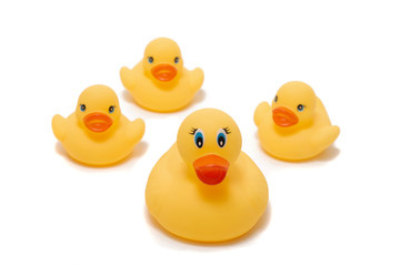cute plastic yellow ducks