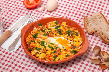 Traditional homemade meal of tomato with egg